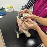 PXL_20240108_074211671