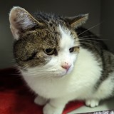 PXL_20240106_114833022