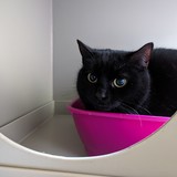 PXL_20240106_114923793