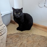 PXL_20240120_092757871