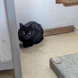 PXL_20240120_091705338