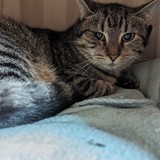 PXL_20240120_091946221.MP