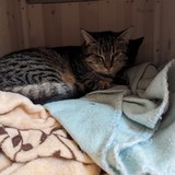 PXL_20240120_091927662