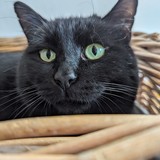 PXL_20240120_092748512