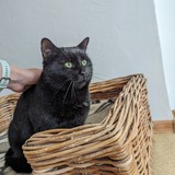 PXL_20240120_092727299.MP