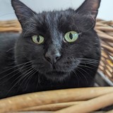 PXL_20240120_092751152