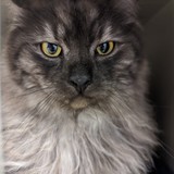 PXL_20240112_182014241