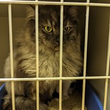 PXL_20240112_182003795