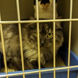 PXL_20240112_181948169