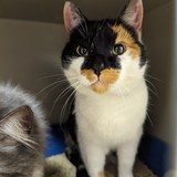 PXL_20240112_181911394.MP