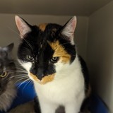 PXL_20240112_181923275.MP