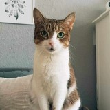 stažený soubor (1)