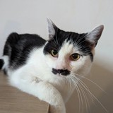 425573208_10225709729312877_8496365743713553943_n