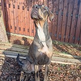 IMG20240218093105_01