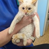 PXL_20240305_095643341