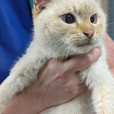 PXL_20240305_095648229~2