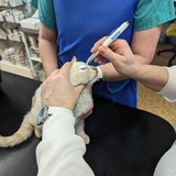 PXL_20240305_095516307