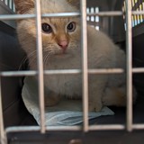 PXL_20240305_094447569