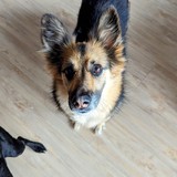 PXL_20240302_095158622~3