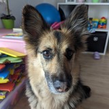 PXL_20240302_095232817.MP