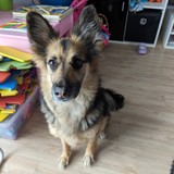 PXL_20240302_095228550.MP