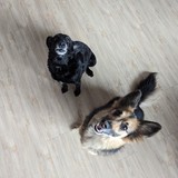 PXL_20240302_095146810.MP