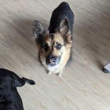 PXL_20240302_095158622