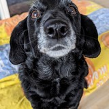 PXL_20240302_094613952~2