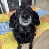 PXL_20240302_094613952