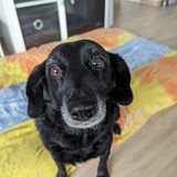 PXL_20240302_094608451