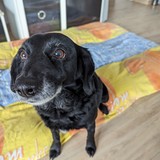 PXL_20240302_094603166