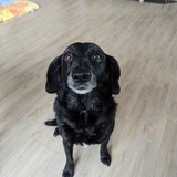 PXL_20240302_094419016