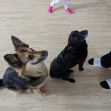 PXL_20240302_094227953.MP