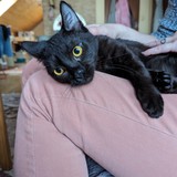 PXL_20240406_165325589