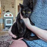 PXL_20240406_165602777