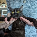 PXL_20240406_165637932.MP