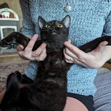 PXL_20240406_165640710.MP