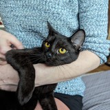 PXL_20240406_165714961