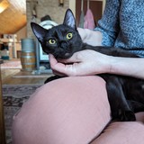 PXL_20240406_165749534