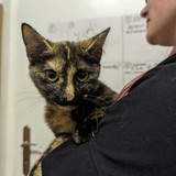 PXL_20240429_175603290