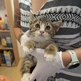 PXL_20240718_173233817