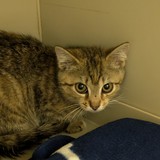 PXL_20240718_174154189