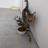 PXL_20240928_101106494