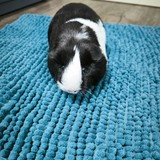 Messenger_creation_9AB06610-512B-45AD-A83E-779A917DE714