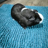 Messenger_creation_FCE00686-9E77-4DEA-BCF4-6B9FCEEF153A