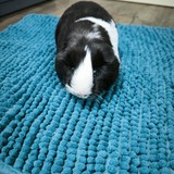 Messenger_creation_16E10239-EE7B-412F-9A4B-038079A34D17