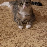 77e444f0-1864-4ba6-a85e-6a63e057ce46