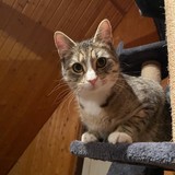 8432512d-05fe-414b-9849-8f20ea36d1ec