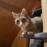 99f8bfc2-6595-4730-9fed-15bc5f558217