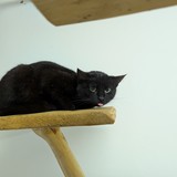 PXL_20250314_165241816